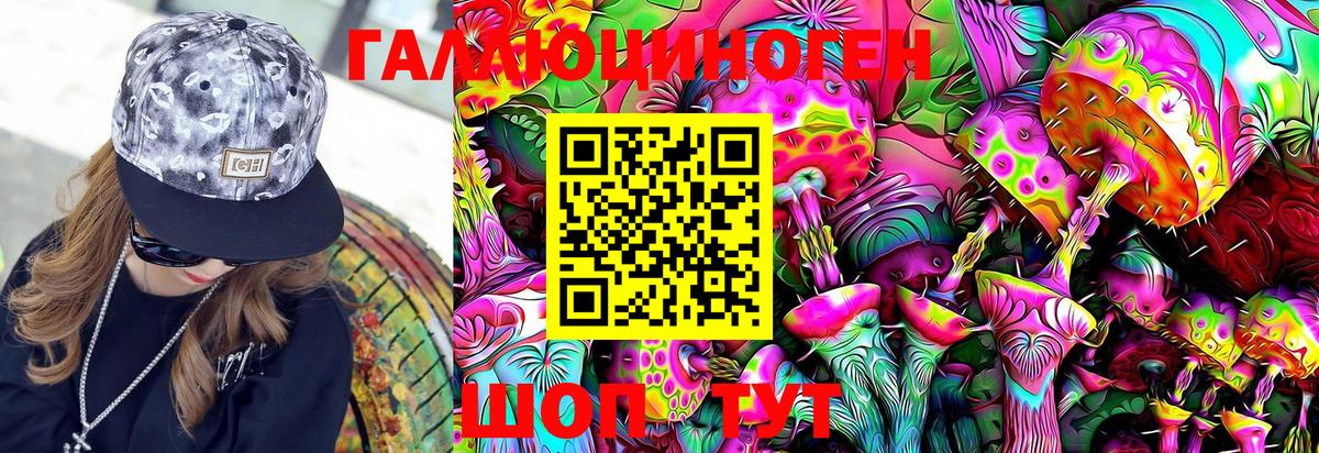 Новочеркасск  Галлюциногенные грибы GOLDEN TEACHER  Вход с VPN 