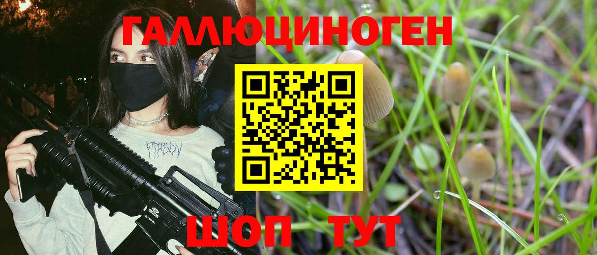 Галлюциногенные грибы Psilocybe Новочеркасск