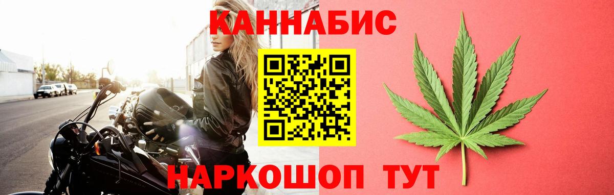Шишки марихуана план  Вход с VPN  Бошки Шишки планчик  Новочеркасск  Канабис гибрид 